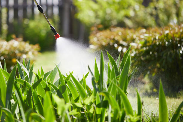 24/7 Emergency Ant Control experts in Sandpoint, ID